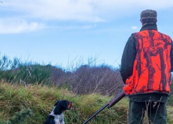 A hunter injures a forty-year-old by mistaking her dog for a deer