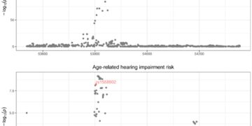Age-related hearing loss can lead to lower body mass index and total body fat