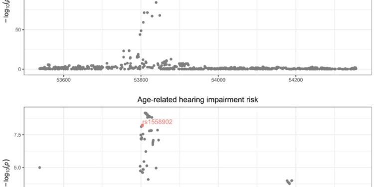 Age-related hearing loss can lead to lower body mass index and total body fat