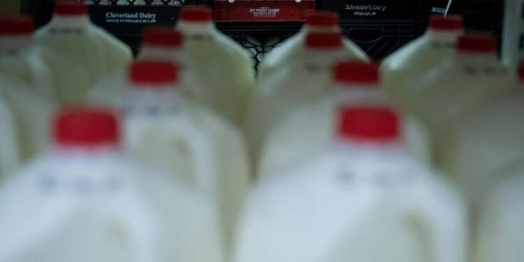 Dairy products: conciliation supports Canada in its dispute with the United States