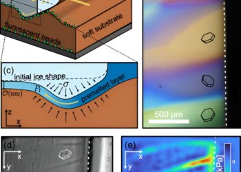 Experiment shows how water-filled channels crisscrossing multicrystalline ice lead to fractures