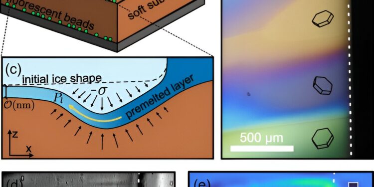 Experiment shows how water-filled channels crisscrossing multicrystalline ice lead to fractures