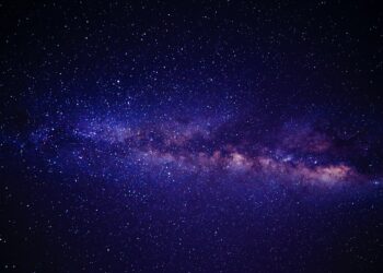 FIRST discovery of dozens of new giant radio galaxies