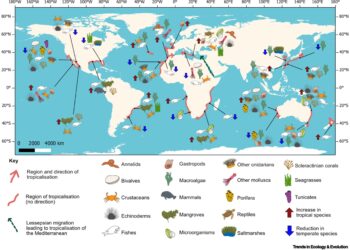 Global marine life on the move due to rising sea temperatures, study finds