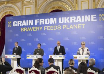 “Grain from Ukraine”: Ukrainian cereals to prevent famine