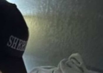 Hide and seek with the police: wanted woman found hiding… on her couch