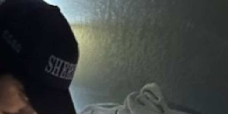 Hide and seek with the police: wanted woman found hiding… on her couch