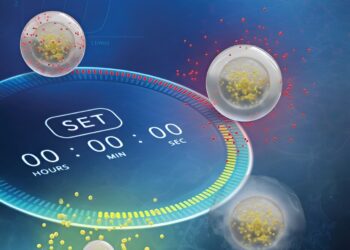 Hydrogels show promise as a new way to deliver drugs more effectively