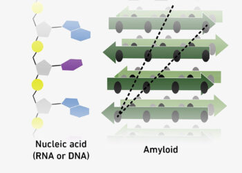 Molecular cooperation at the threshold of life
