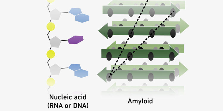 Molecular cooperation at the threshold of life