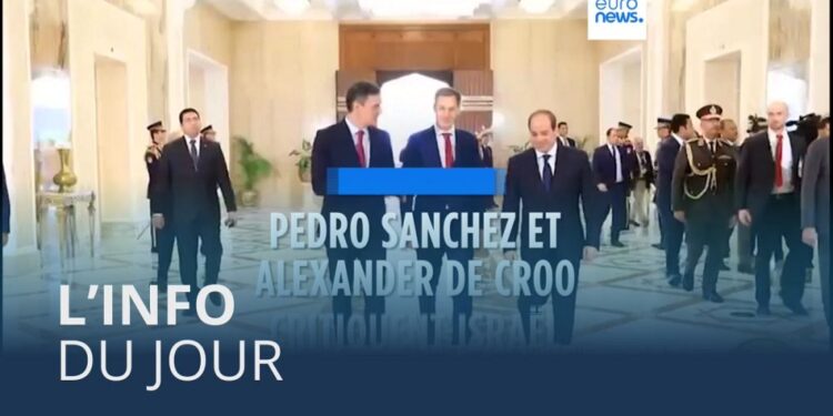 News of the day |  November 25 – Midday