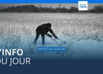 News of the day |  November 26 – Evening