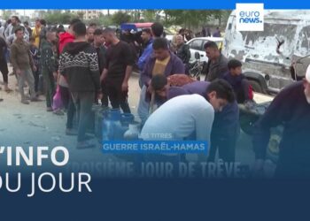 News of the day |  November 26 – Midday