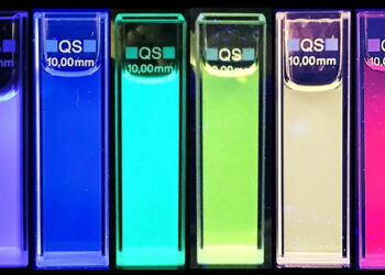 Pressure cooking birch leaves to produce raw materials for organic semiconductors