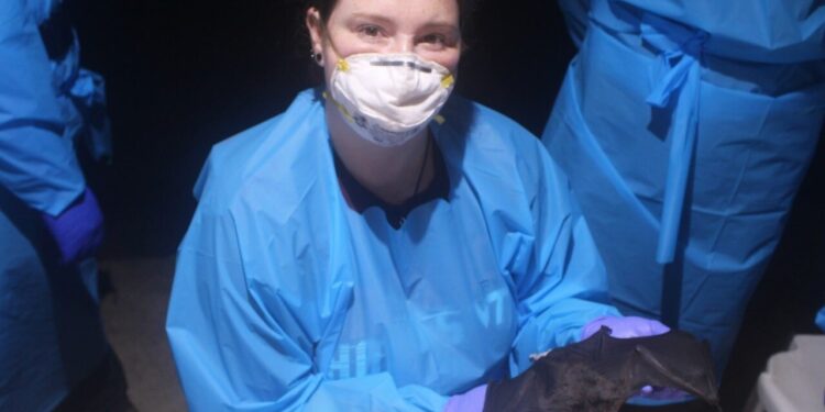 Research links climate change, expansion of vampire bats and spread of rabies virus