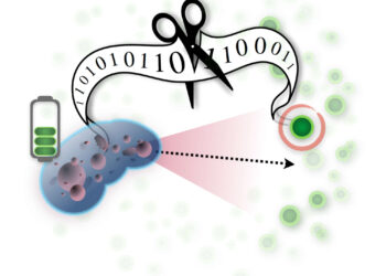 Researchers apply semantic information theory to a realistic model and find the point where information is important for survival
