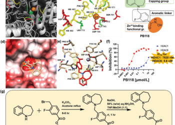 Researchers identify new small molecule inhibitor for use against Alzheimer’s disease