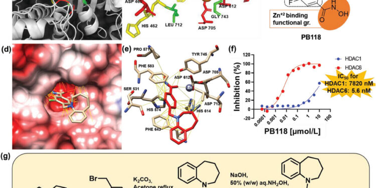 Researchers identify new small molecule inhibitor for use against Alzheimer’s disease