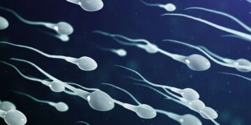 Researchers link global decline in sperm counts to insecticides