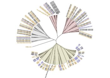 Scientists map the antigenic landscape