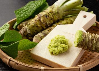 The surprising benefits of wasabi on the brains of older people