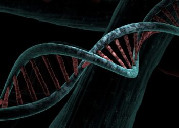 Where copying of DNA to RNA begins could determine whether cancer cells are receptive to treatment
