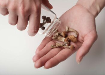 he tries to cure his color blindness with hallucinogenic mushrooms