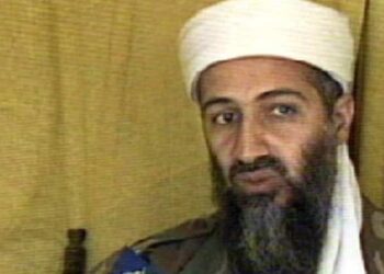 1 in 5 young Americans have a positive opinion of Osama bin Laden