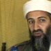 1 in 5 young Americans have a positive opinion of Osama bin Laden