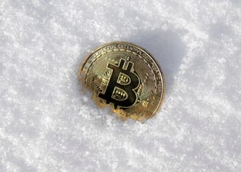 $1.7 billion in crypto piracy losses this year  Economy