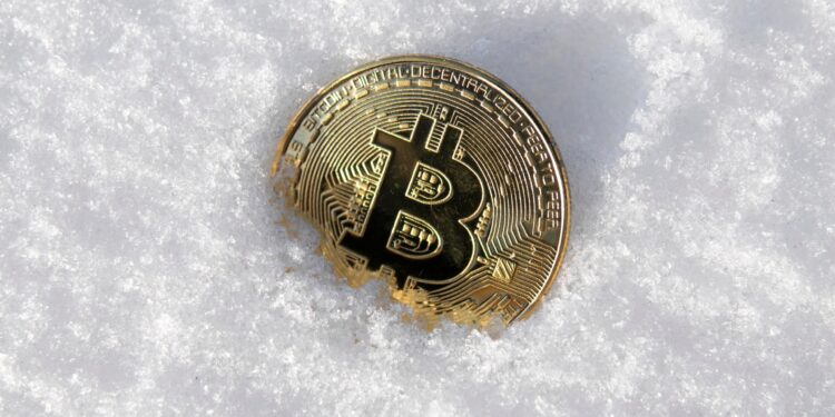 $1.7 billion in crypto piracy losses this year  Economy