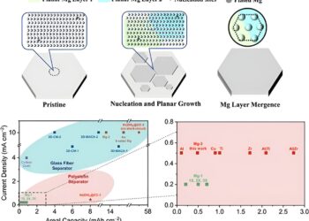 3D Magnesiophilic Substrate Enables Planar Electroplating/Pickling of Magnesium Metal Anode
