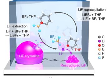 A borate-pyran electrolyte that minimizes corrosion in Li-metal batteries