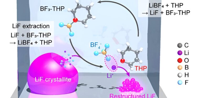 A borate-pyran electrolyte that minimizes corrosion in Li-metal batteries