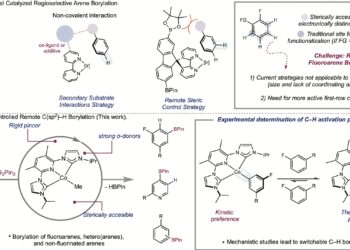 A catalyst for electronically controlled C–H functionalization