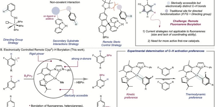 A catalyst for electronically controlled C–H functionalization