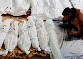 Arab human rights activists call on the General Assembly to declare Israel’s actions in Gaza genocide |  News