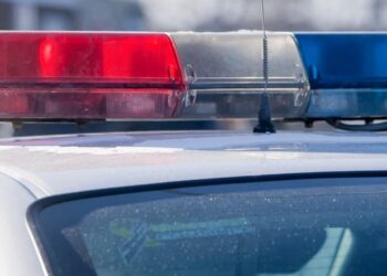 Arrested for hitting her boyfriend with a Christmas tree