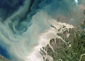 As Arctic warms, its waters emit carbon: study
