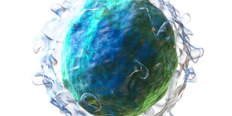 B-cell-deficient patients gain protective immunity against T-cells after SARS-CoV-2 vaccination and infection, study finds