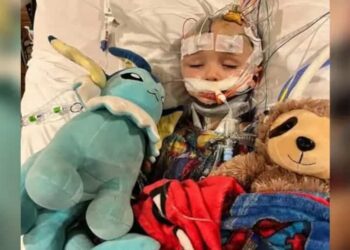 Beaten while being babysat: 3-year-old boy fights for his life after being beaten by 12-year-old