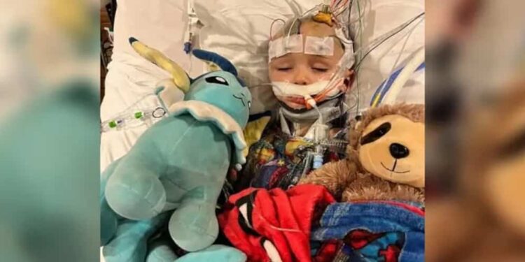 Beaten while being babysat: 3-year-old boy fights for his life after being beaten by 12-year-old