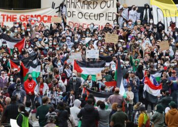 Because of their position on the Gaza War… Congress opens fire on the presidents of 3 American universities  Policy