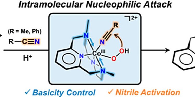 Breakthrough in nitrile activation is a promising route for the synthesis of anticancer precursors