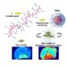 Breakthroughs in nano-sized contrast agents and drug carriers using self-folding molecules