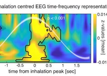 Breathing habits during sleep impact memory processes