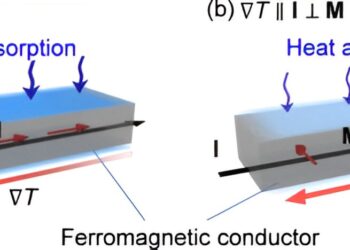 Controlling thermoelectric conversion in magnetic materials by direction of magnetization