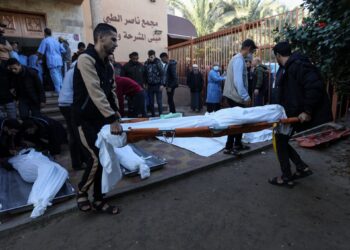 Counting the victims of the Israeli aggression on Gaza is becoming increasingly difficult  News