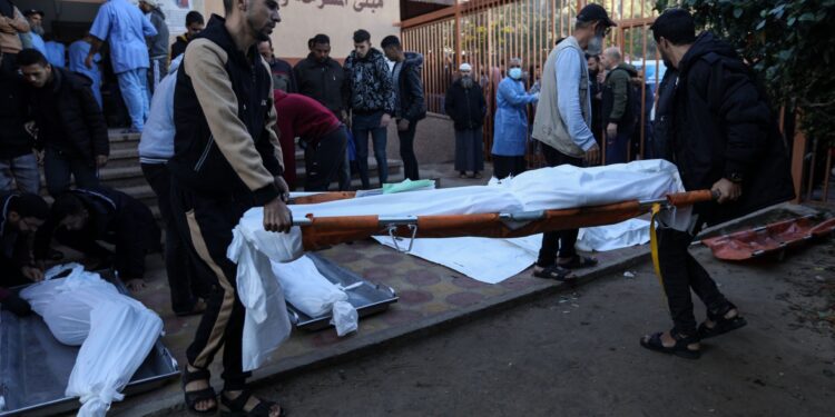 Counting the victims of the Israeli aggression on Gaza is becoming increasingly difficult  News