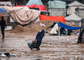 Deadly diseases lurk for the residents of Gaza and warnings of famine  News